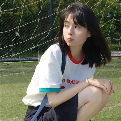守法的盗贼