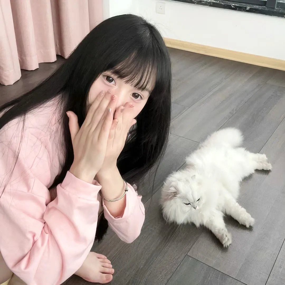 恐怖阴谋